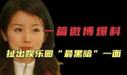 娱乐圈爆料黑历史,揭秘明星黑历史背后的真相